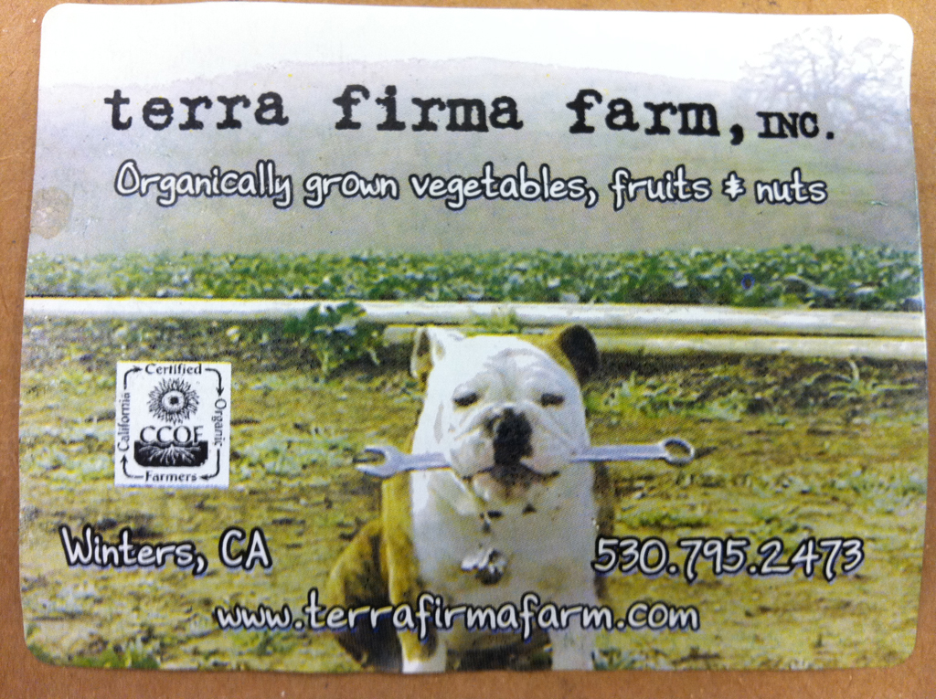 Terra Firma Farm