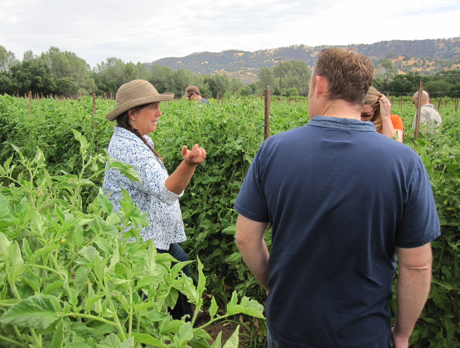 Nugget Markets Produce Managers in the field