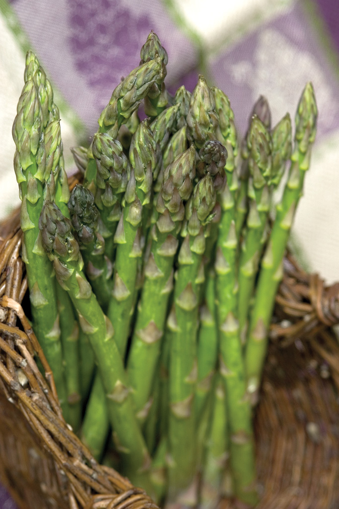 Asparagus