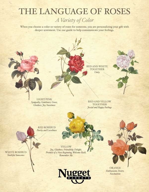 The Language of Roses